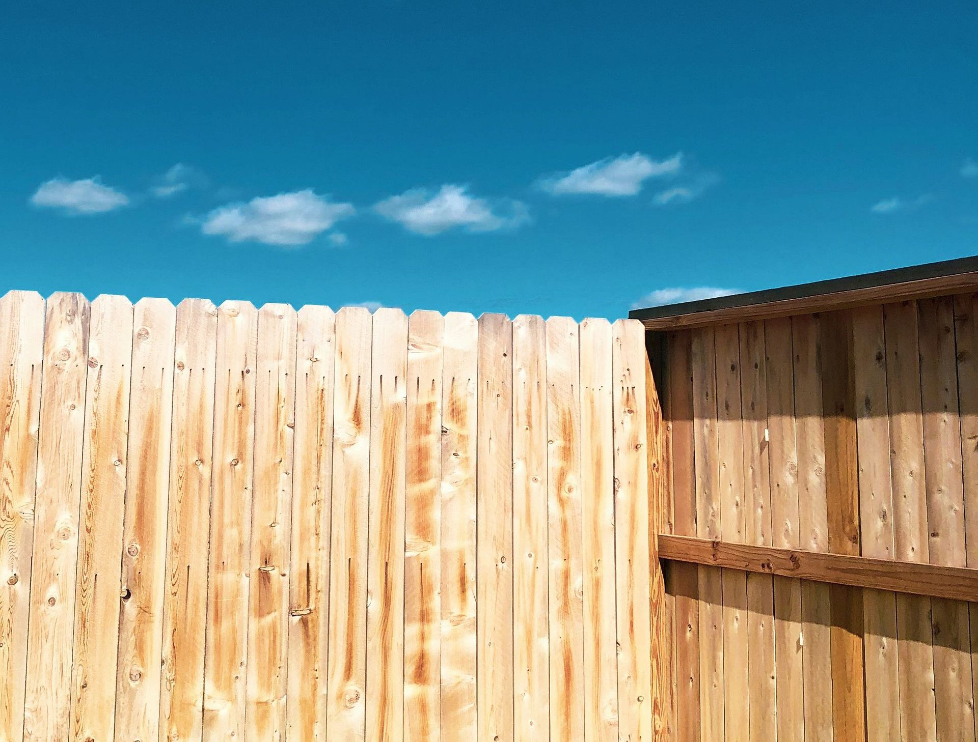 brown wooden fence under blue sky during daytime